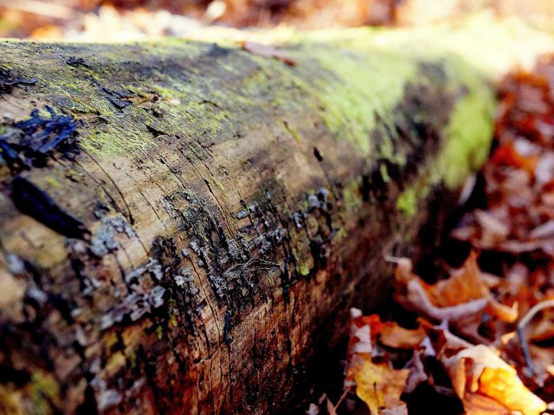 sudoku naked pairs screenshot 6